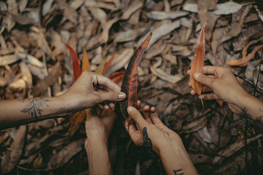 Eucalyptus medicine