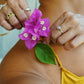thong bottom marigold