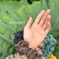 scrunchie