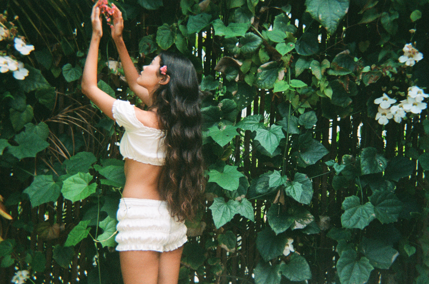 bloomer shorts