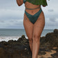 planties ocean emerald